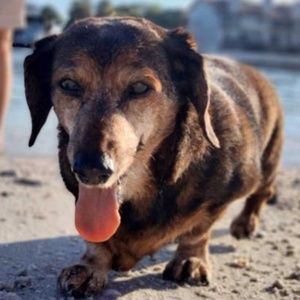 Meet your Posher, Tabitha